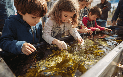 Ocean Life Experience Ocean Institute